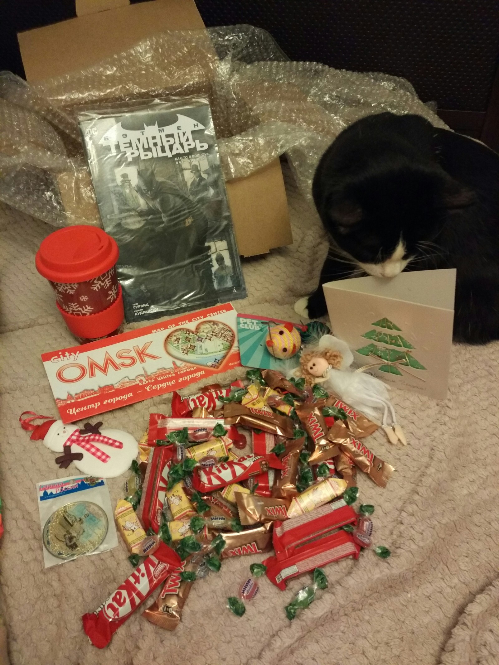 Omsk Santa is the best Santa! - My, Secret Santa, Gift exchange, New Year, Longpost, cat