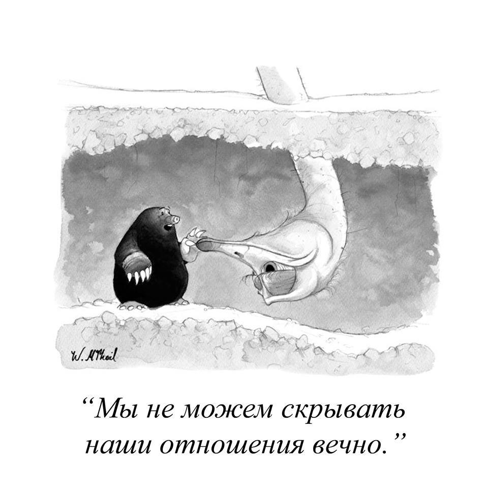 Love is evil - Mole, Ostrich, Comics, The new yorker, New Yorker Magazine