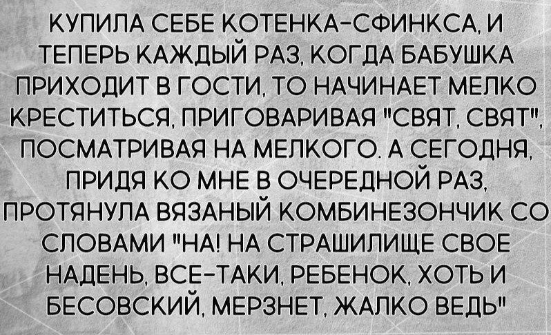 Владельцы сфинксов поймут - Сфинкс, Кот