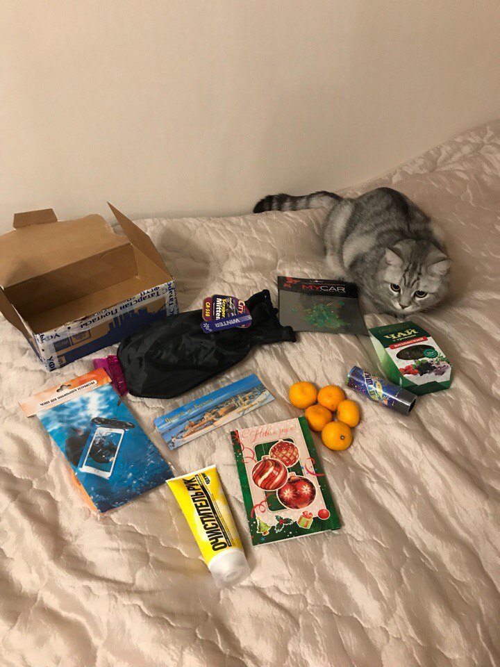 A gift from an anonymous Snow Maiden from Kazan - My, Gift exchange, Secret Santa, Kazan, Longpost, New Year, cat, Miracle, My