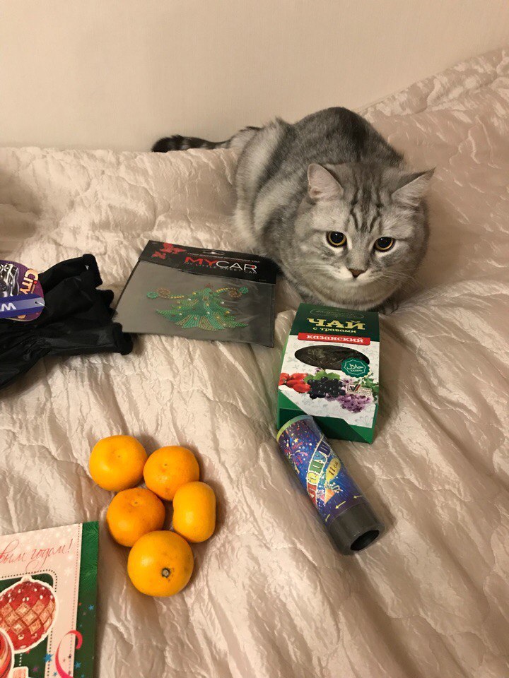 A gift from an anonymous Snow Maiden from Kazan - My, Gift exchange, Secret Santa, Kazan, Longpost, New Year, cat, Miracle, My