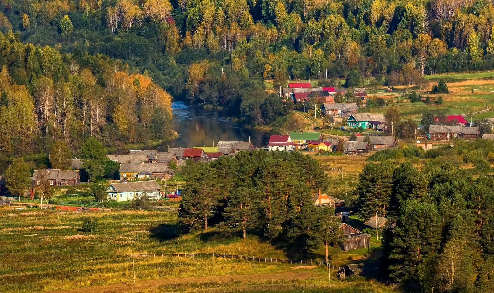 Природный парк «Вепсский лес» | Пикабу