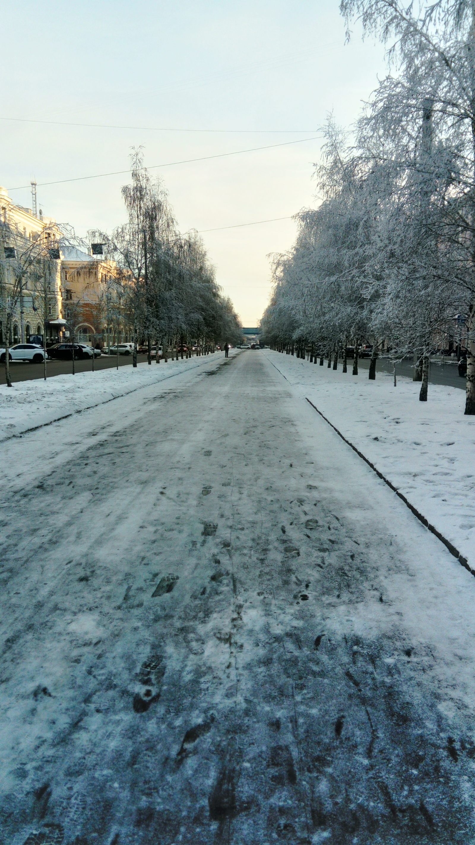 A little trip or how I walked in Barnaul. - My, Longpost, Barnaul, Cityscapes, Travels, First post, Winter, Pre-holiday mood, Christmas trees, Street photography