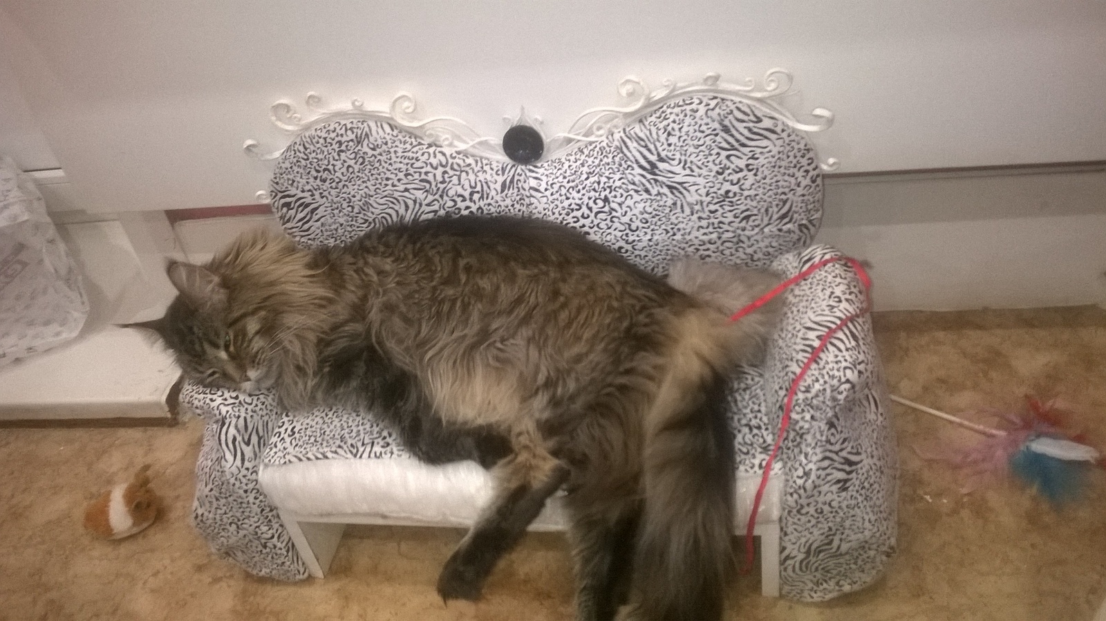 Sofa for Yusi - My, My, Needlework with process, Animals, Sofa, , Needlework, cat, Maine Coon