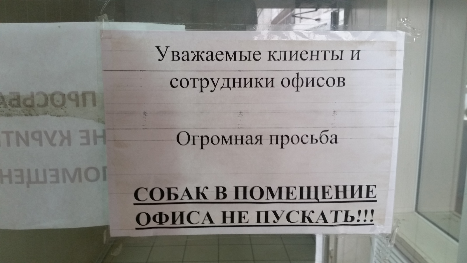 Announcement on the office door in Kurgan - My, Dogs and people, Announcement