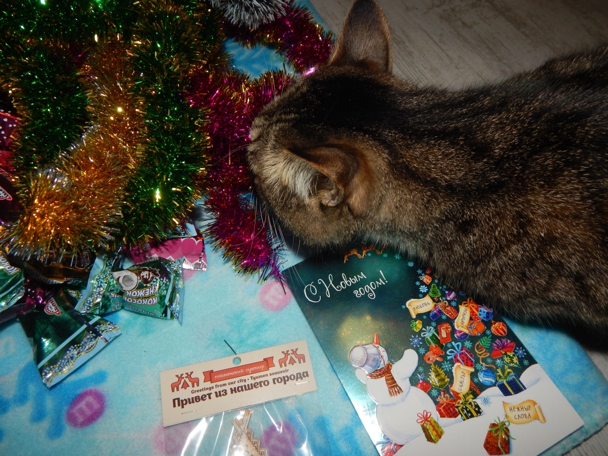 Gift from the Snow Maiden from Tyumen - My, Gift exchange, Secret Santa, New Year, Longpost, Thank you, Presents