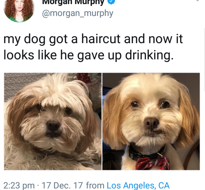 When I quit drinking. - Dog, Пьянство, Transformation, Alcoholism