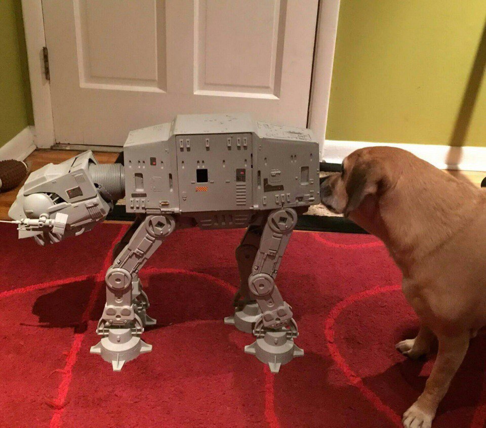 It's funny. - Booty, Dog, At-At, Star Wars