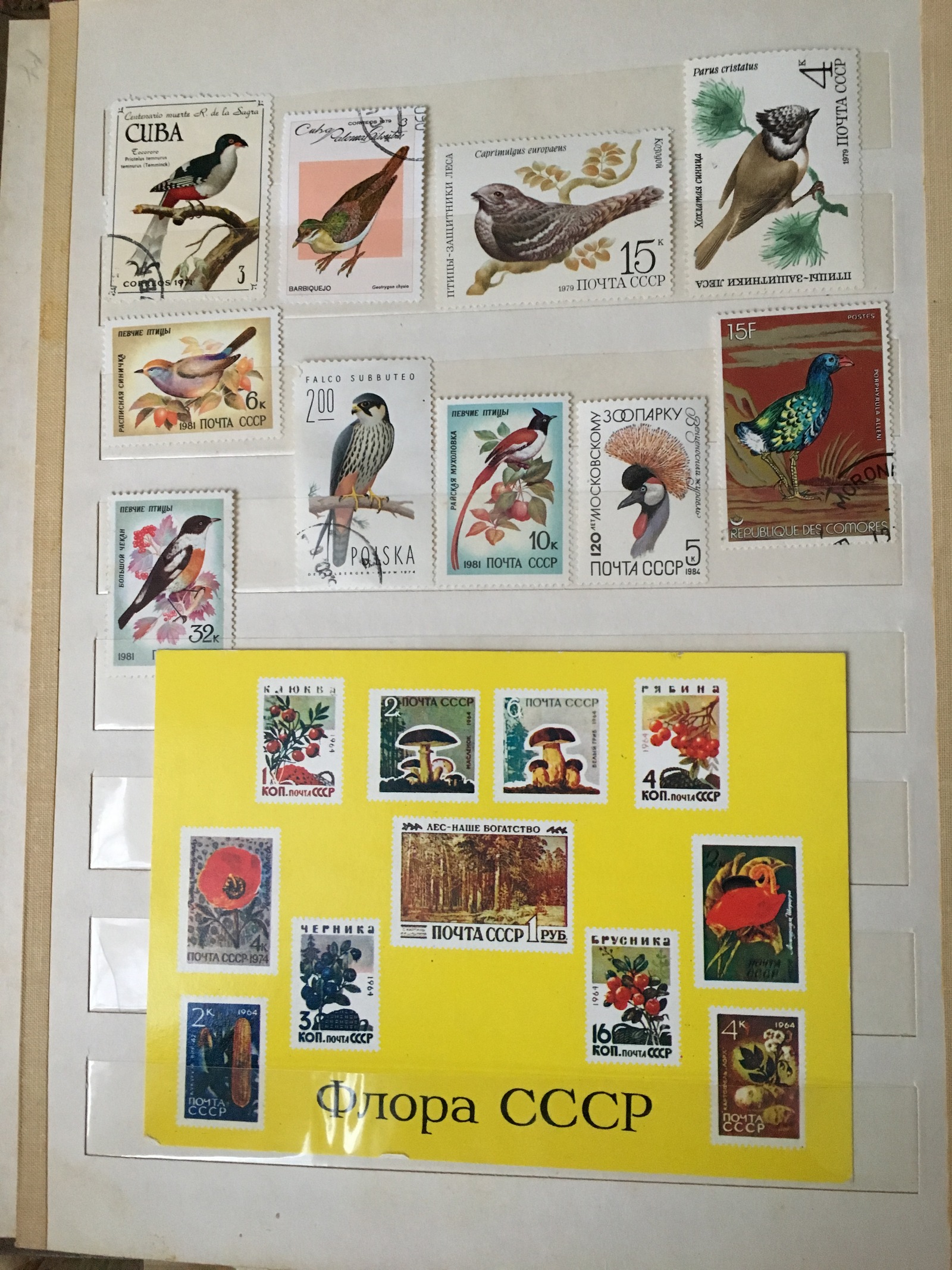 Are there any stamp collectors? :) - My, Stamps, My, Longpost