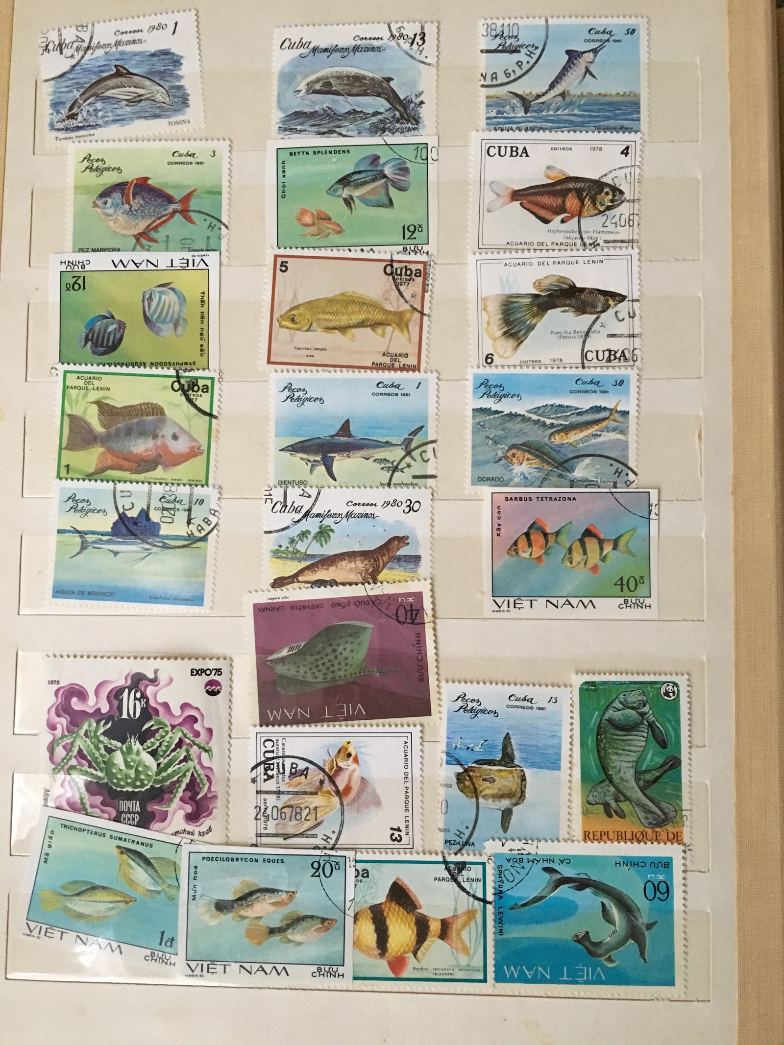 Are there any stamp collectors? :) - My, Stamps, My, Longpost