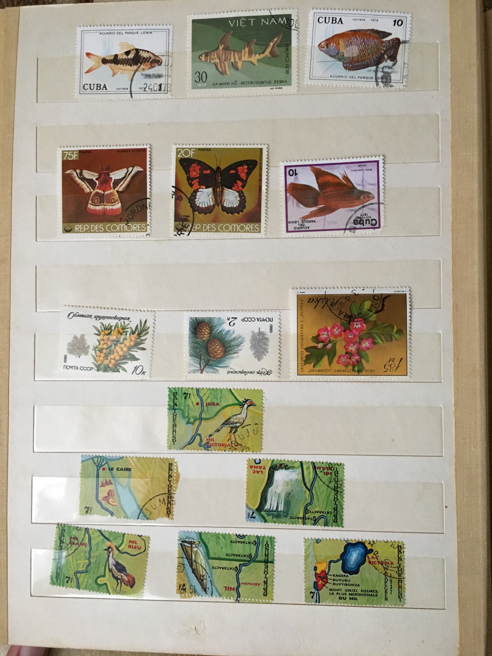 Are there any stamp collectors? :) - My, Stamps, My, Longpost