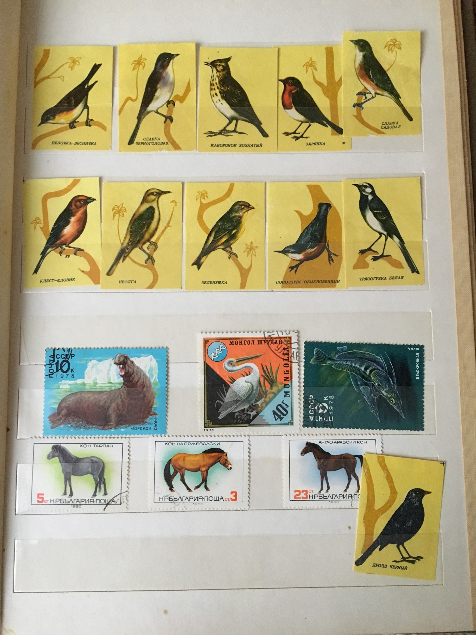 Are there any stamp collectors? :) - My, Stamps, My, Longpost