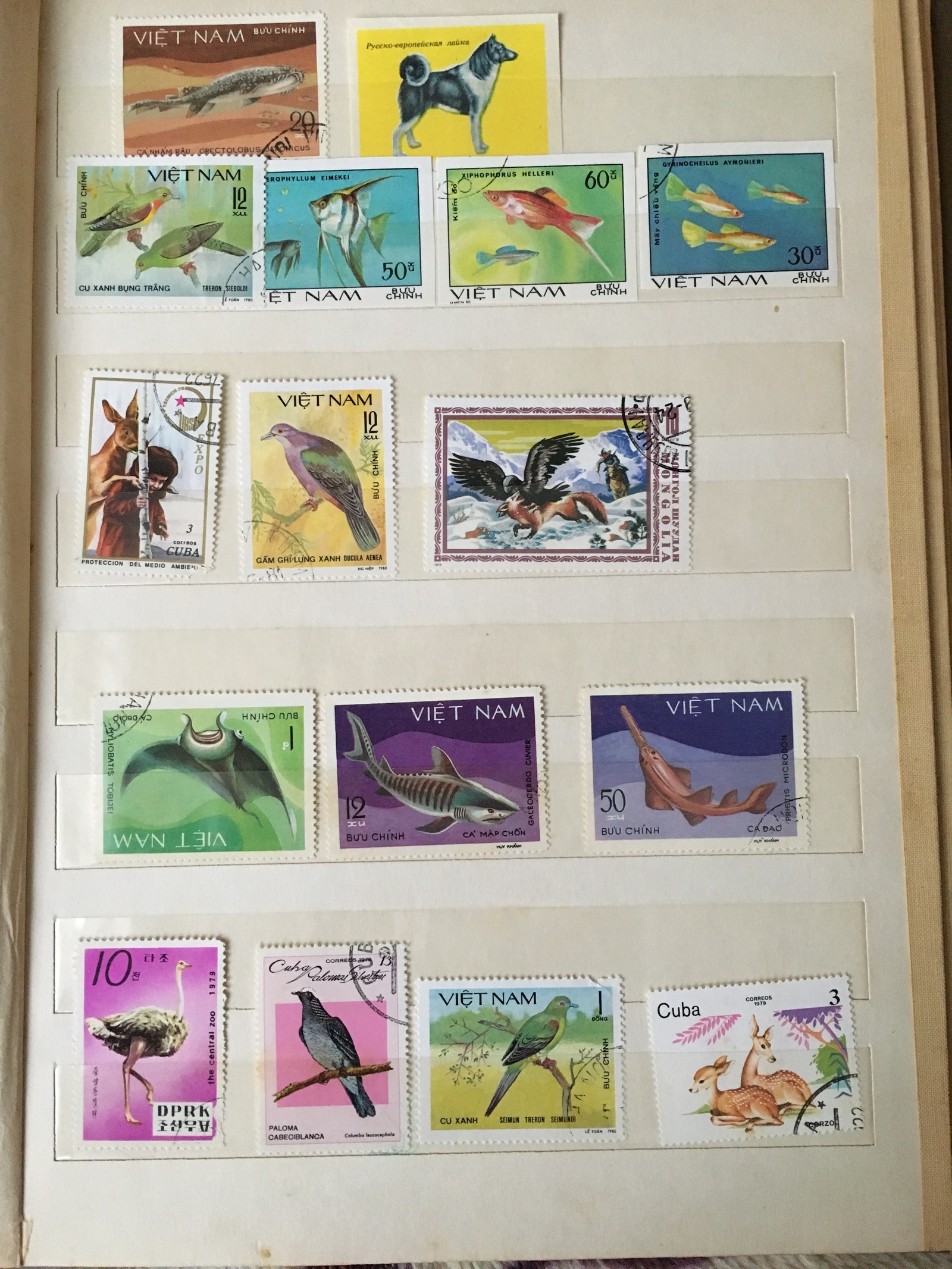 Are there any stamp collectors? :) - My, Stamps, My, Longpost