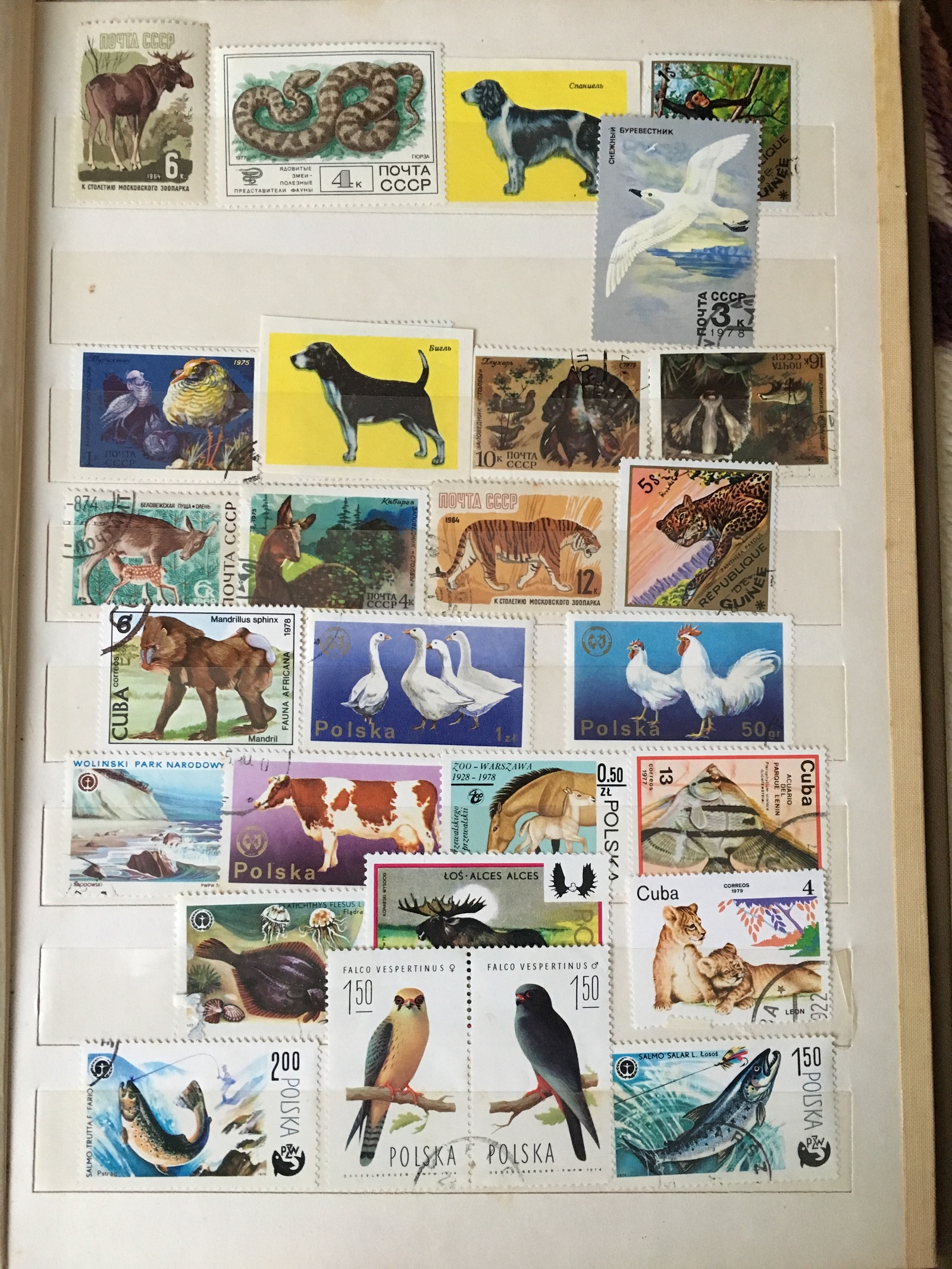 Are there any stamp collectors? :) - My, Stamps, My, Longpost