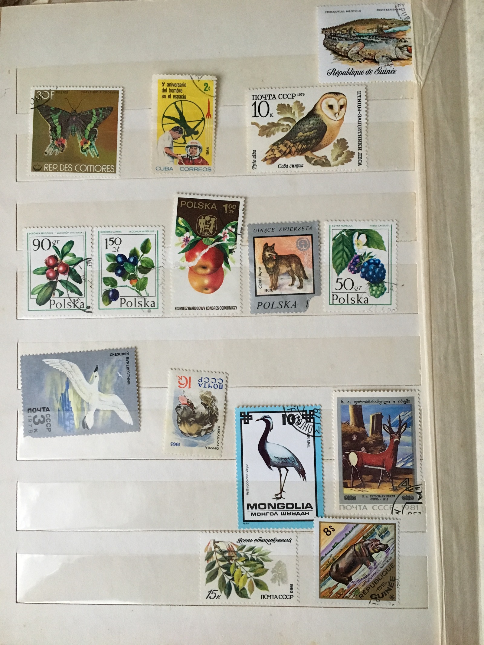 Are there any stamp collectors? :) - My, Stamps, My, Longpost