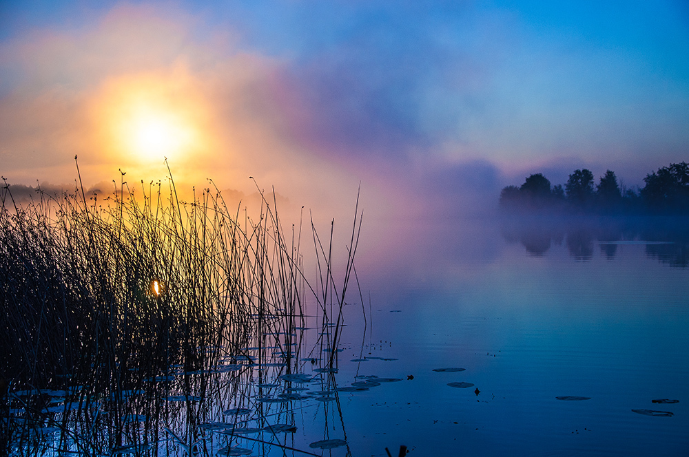 Dawn on the lake - My, The photo, Summer is coming, Fog, Lake, dawn