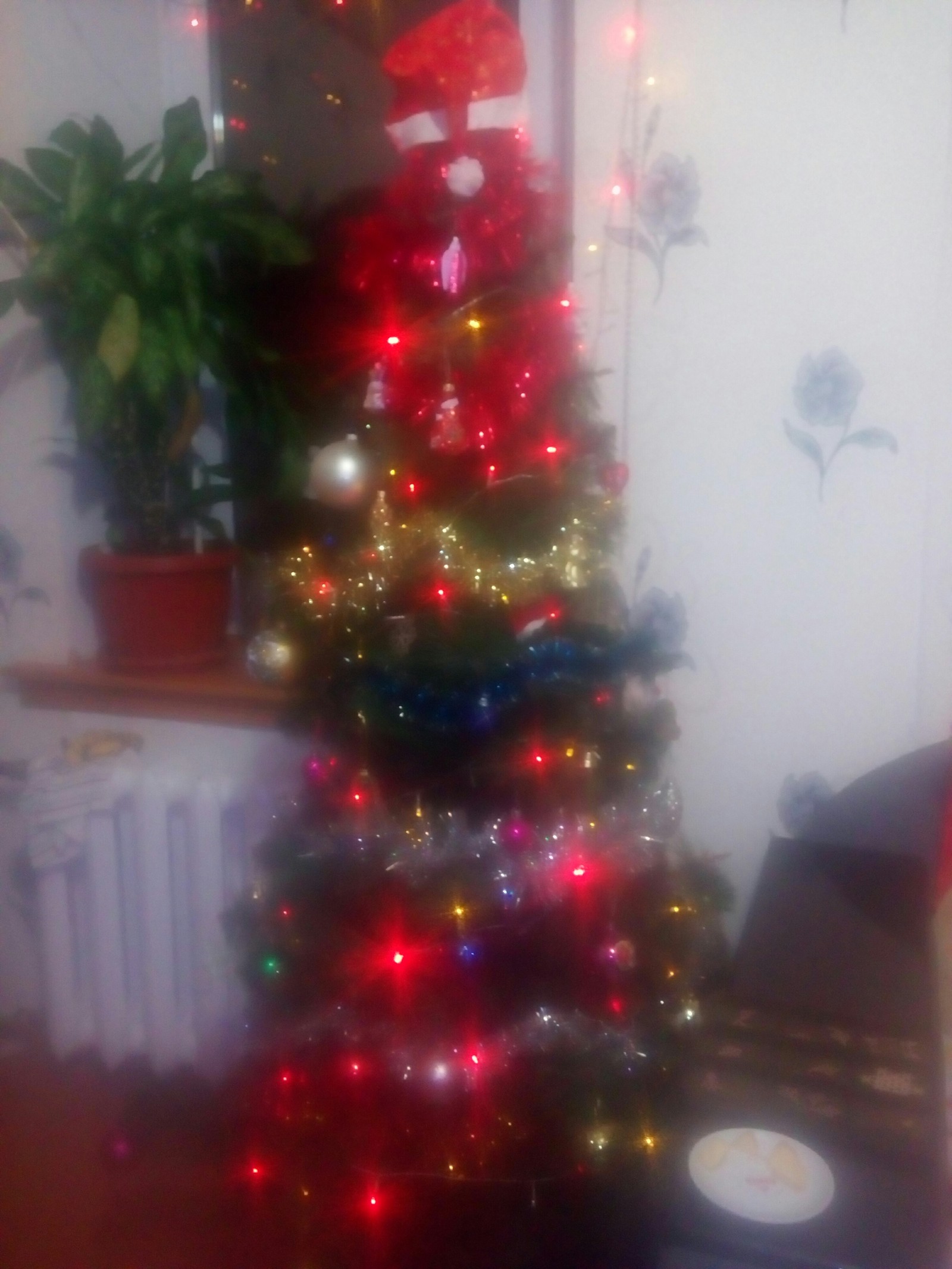 Here is my tree - My, New Year, Garland, Christmas trees, Longpost