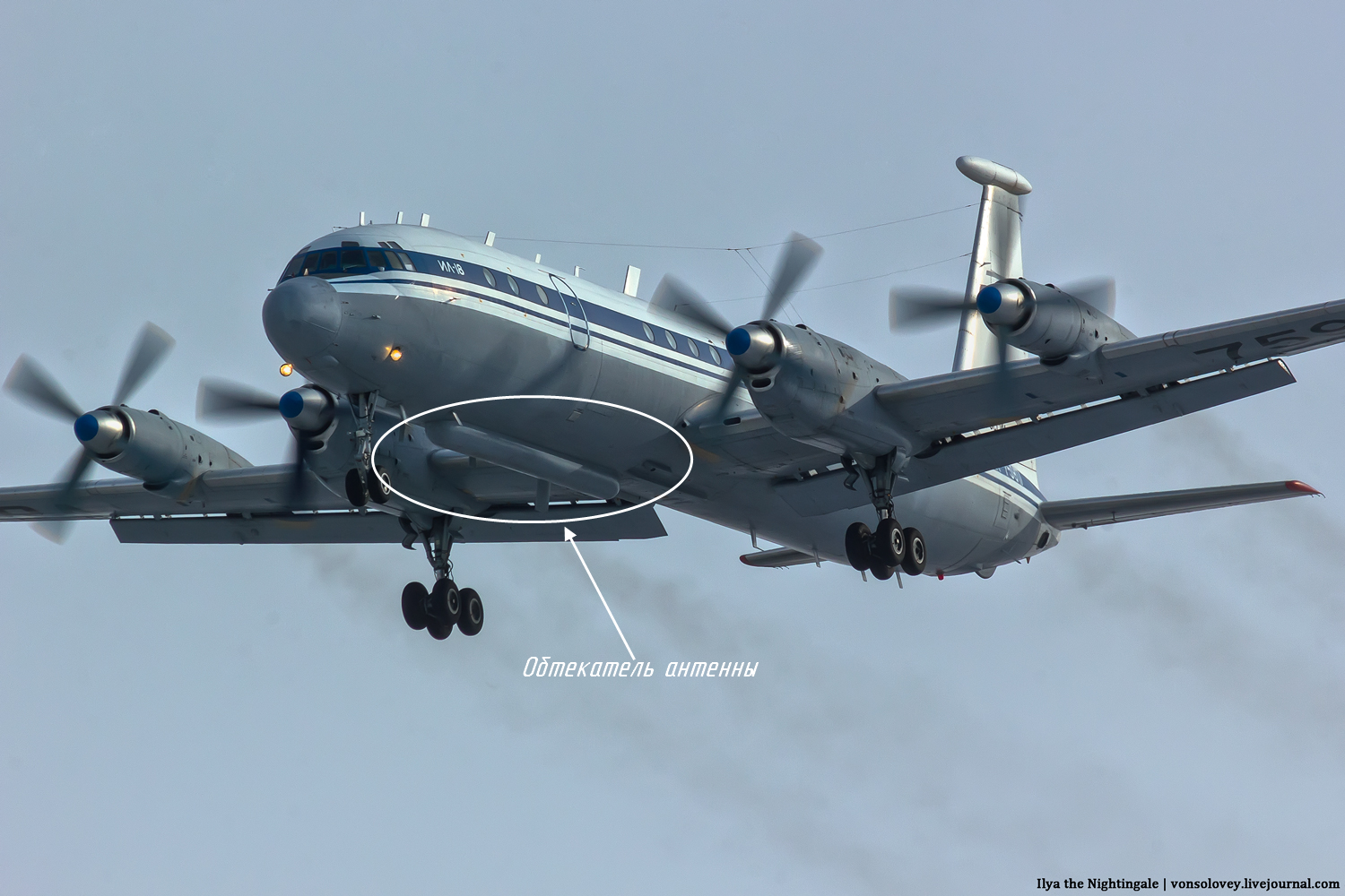 Visual differences between aircraft of the IL-18 family - My, IL-18, IL-20, IL-2, IL-38, Aviation, The photo, Longpost, Identification