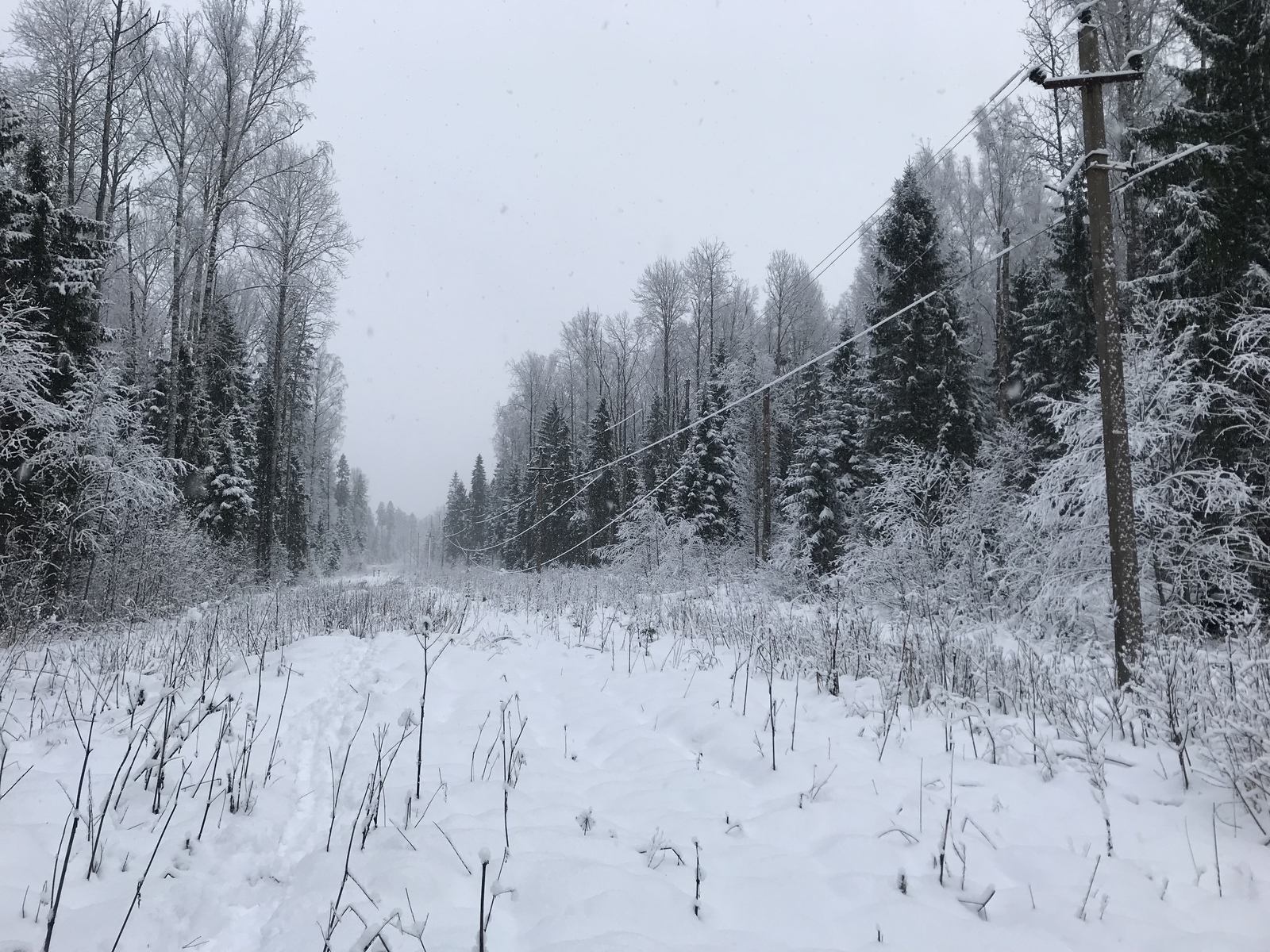 Winter in its beautiful glory) Tosno river area - My, Winter, Snow, freezing, beauty, Work, Longpost