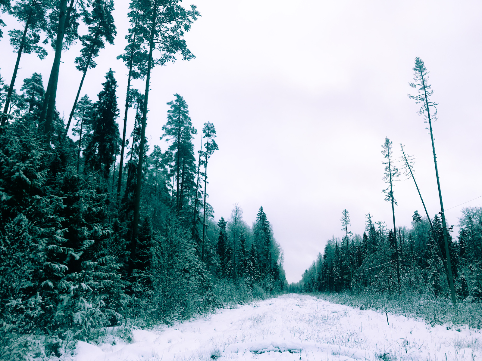 Winter in its beautiful glory) Tosno river area - My, Winter, Snow, freezing, beauty, Work, Longpost