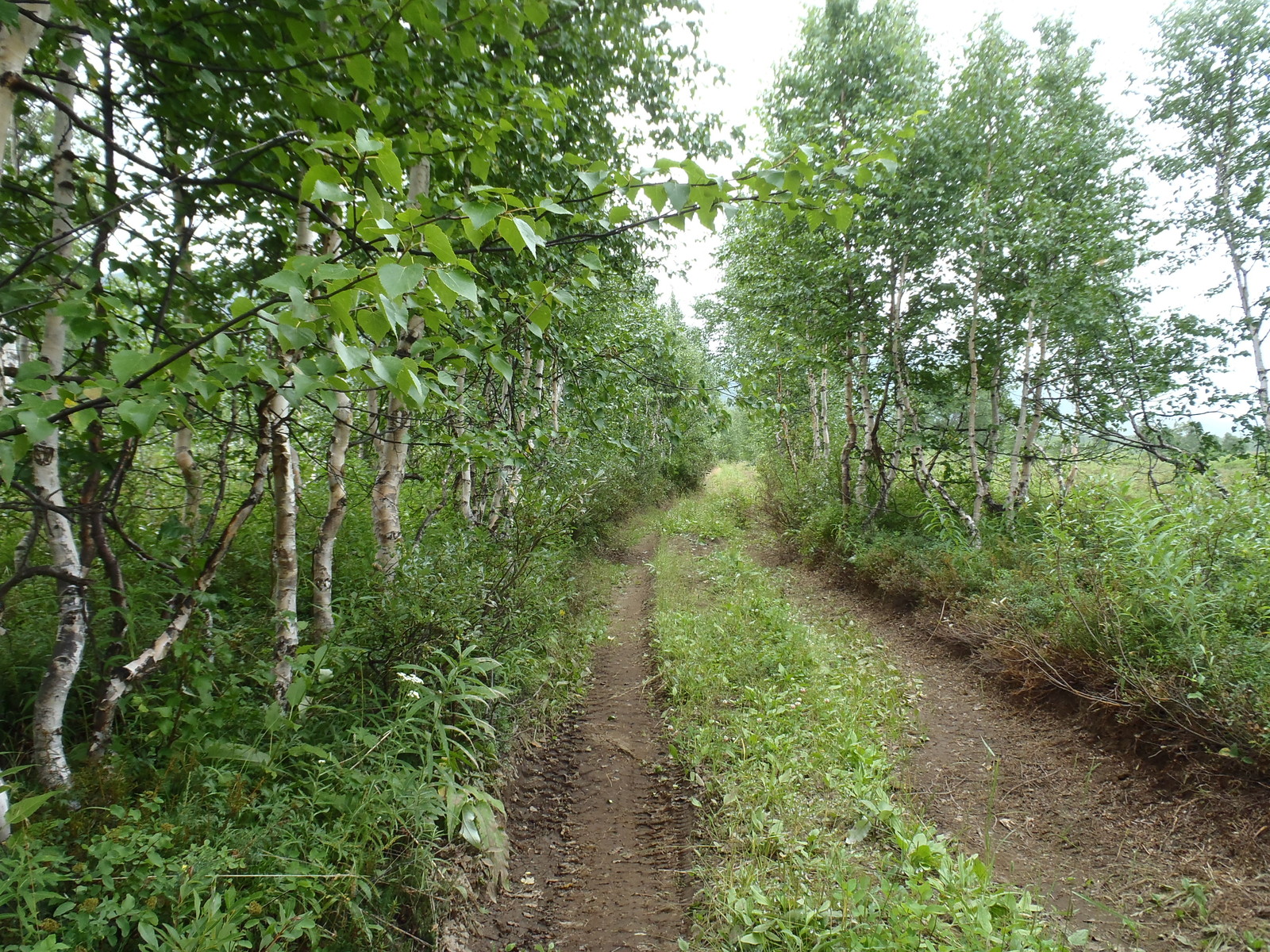 Наш забег (заполз) на Бакенинг - Моё, Моё, Камчатка, Туризм, Длиннопост, Содомия, Вулкан Бакенинг