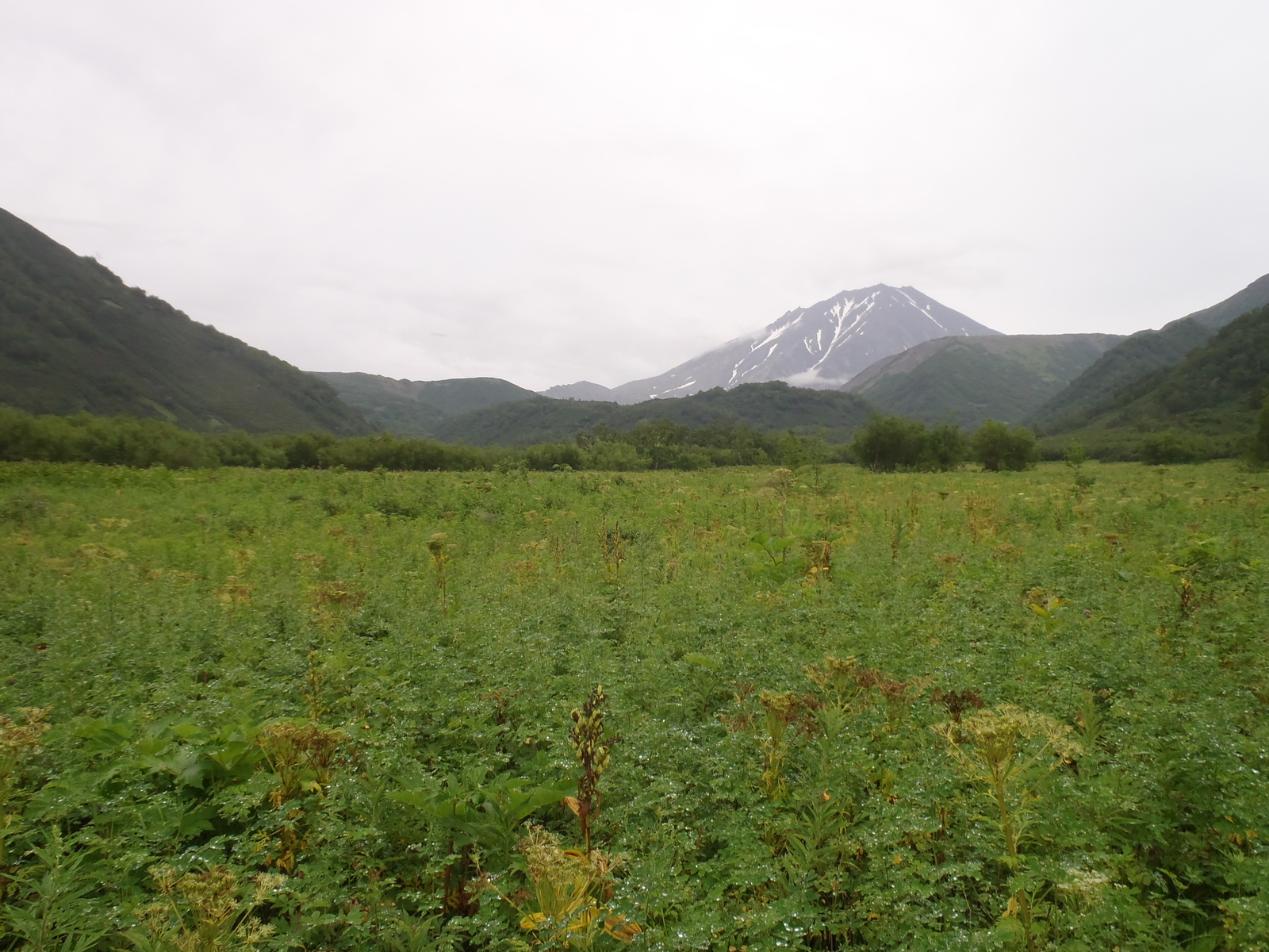 Наш забег (заполз) на Бакенинг - Моё, Моё, Камчатка, Туризм, Длиннопост, Содомия, Вулкан Бакенинг