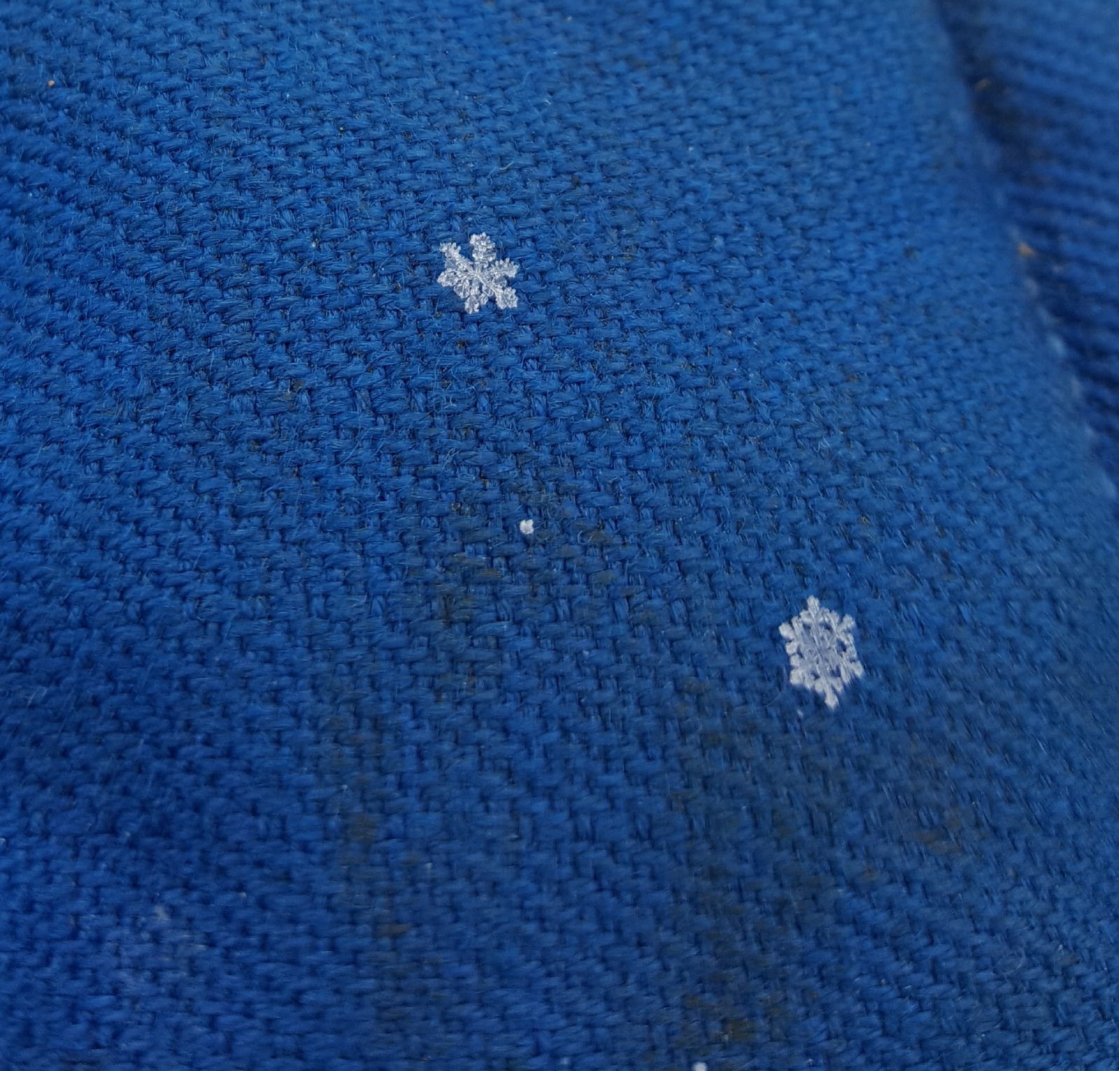 Caught a snowflake - My, Snowflake, Winter, The photo