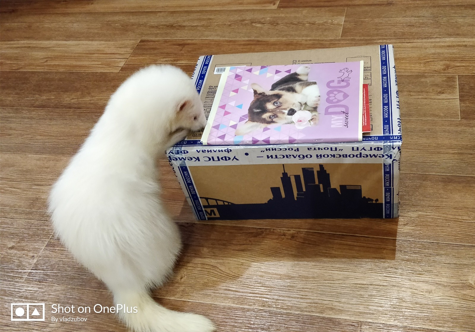 Gift from Kemerovo to Omsk - My, Secret Santa, Kemerovo, Omsk, Presents, Mood, Longpost, Gift exchange