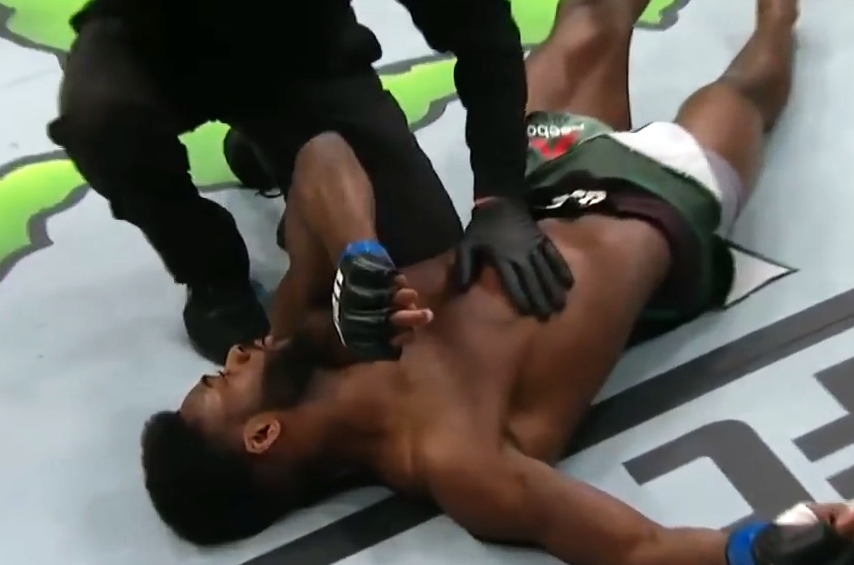 After the knockout, the fighter depicted the movement Deb - MMA, , Fighter, Ufc, Knockout, Deb, Video, Longpost, Aljamain Sterling