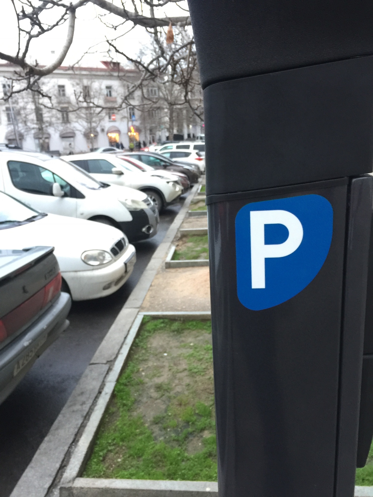 What was at the beginning of the parking meter or markings? - My, Politics, Longpost, Parking, Parking meter