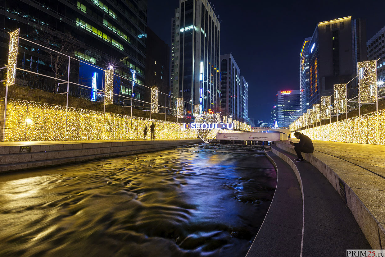 Seoul Night Markets, Ennobled River and the City's Largest Aquarium ...