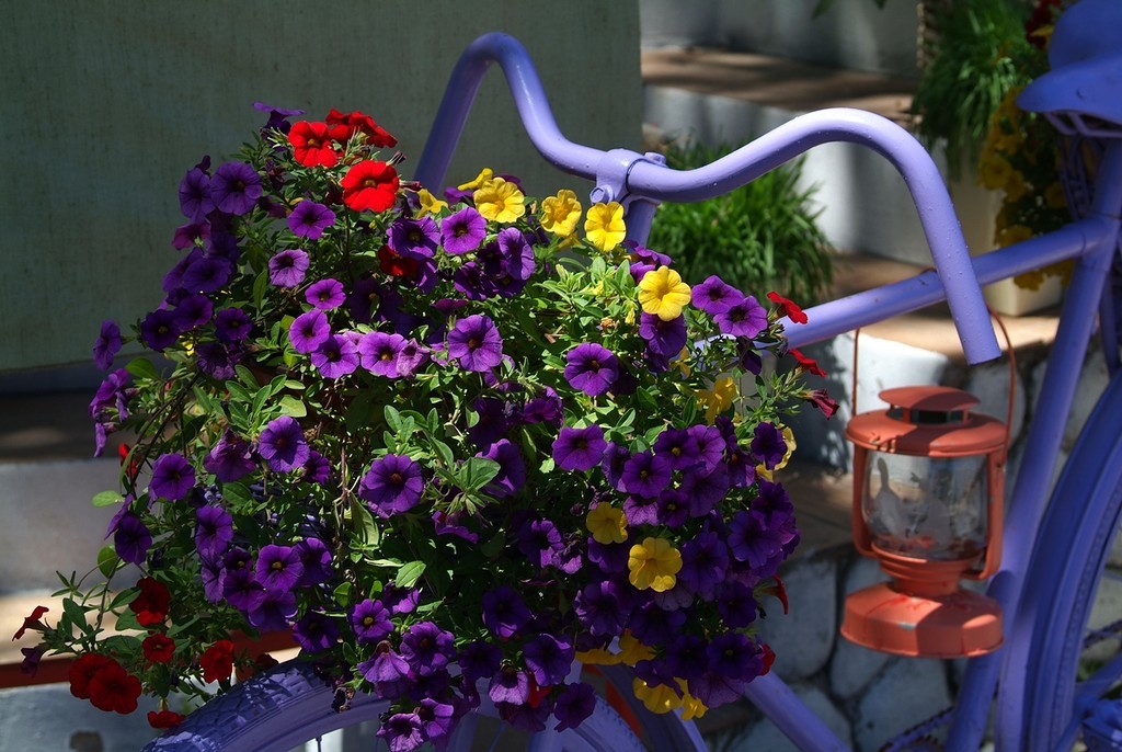 Bicycles of Gelendzhik - My, Gelendzhik, Town, The street, The photo, A bike, , Fujifilm, 