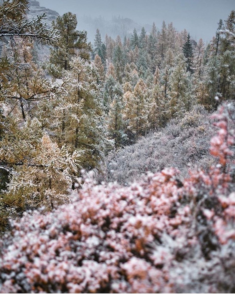 The charm of winter Altai - Altai, Mountain Altai, The photo, Instagram, Longpost, Altai Republic