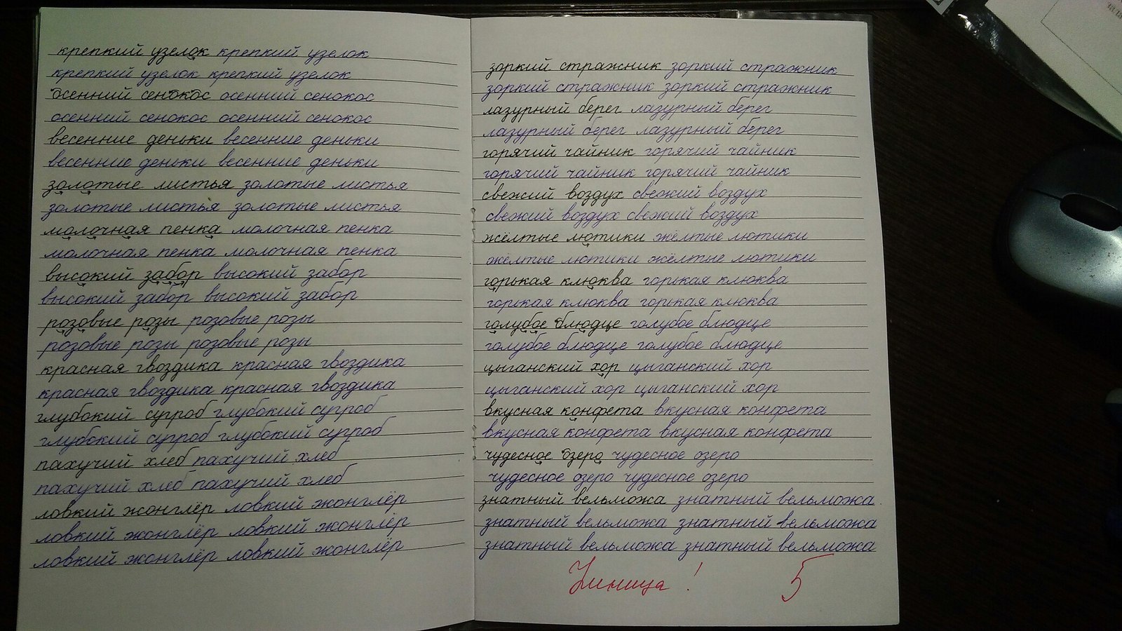 Буквы разные писать тонким пёрышком в тетрадь... Учат будущих учителей  начальных классов в институте. | Пикабу