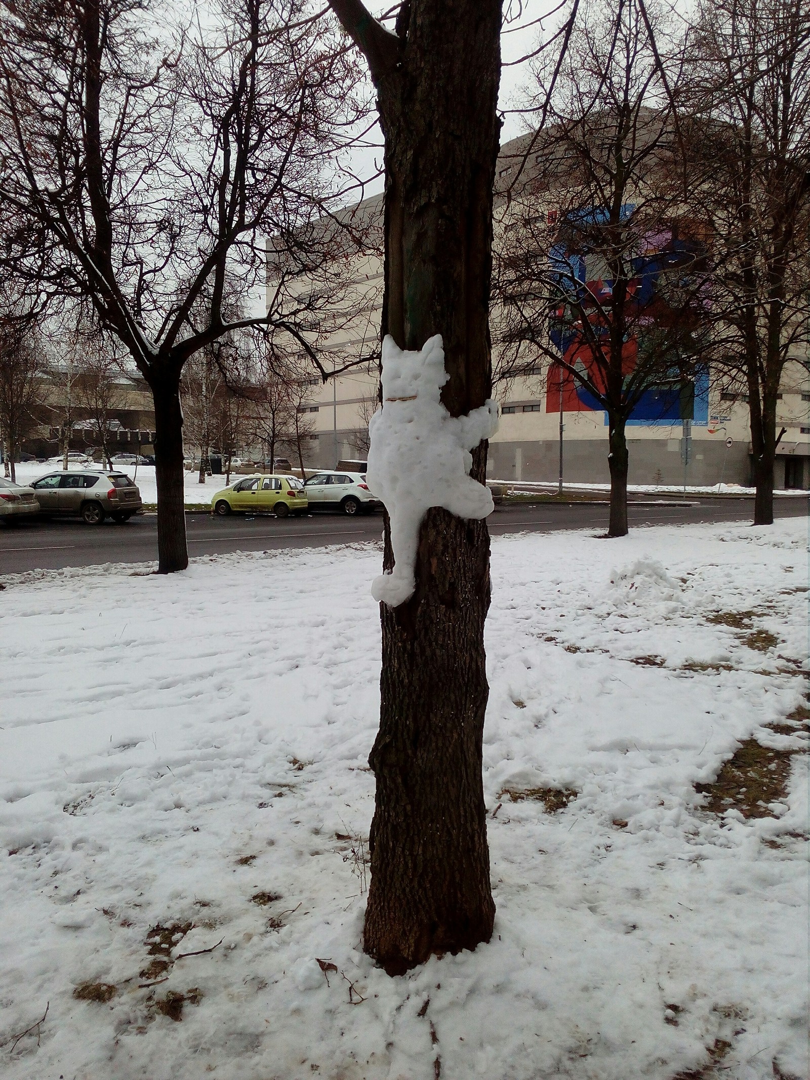 Christmas cats (• •`) - cat, Winter, Pre-holiday mood, Not mine, Moscow, Holiday greetings, Longpost