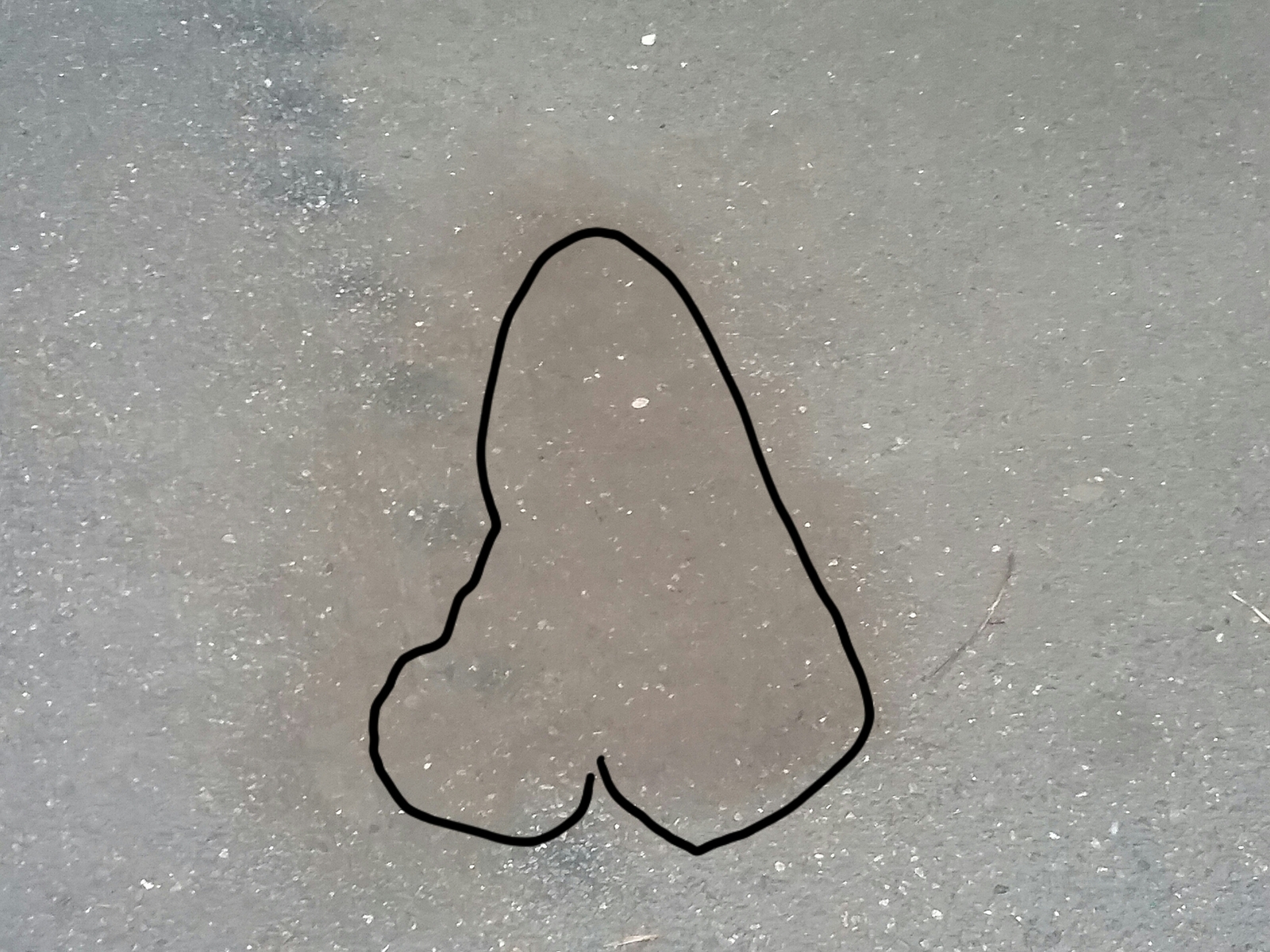 A puddle shaped like [Washed] - My, Puddle, My