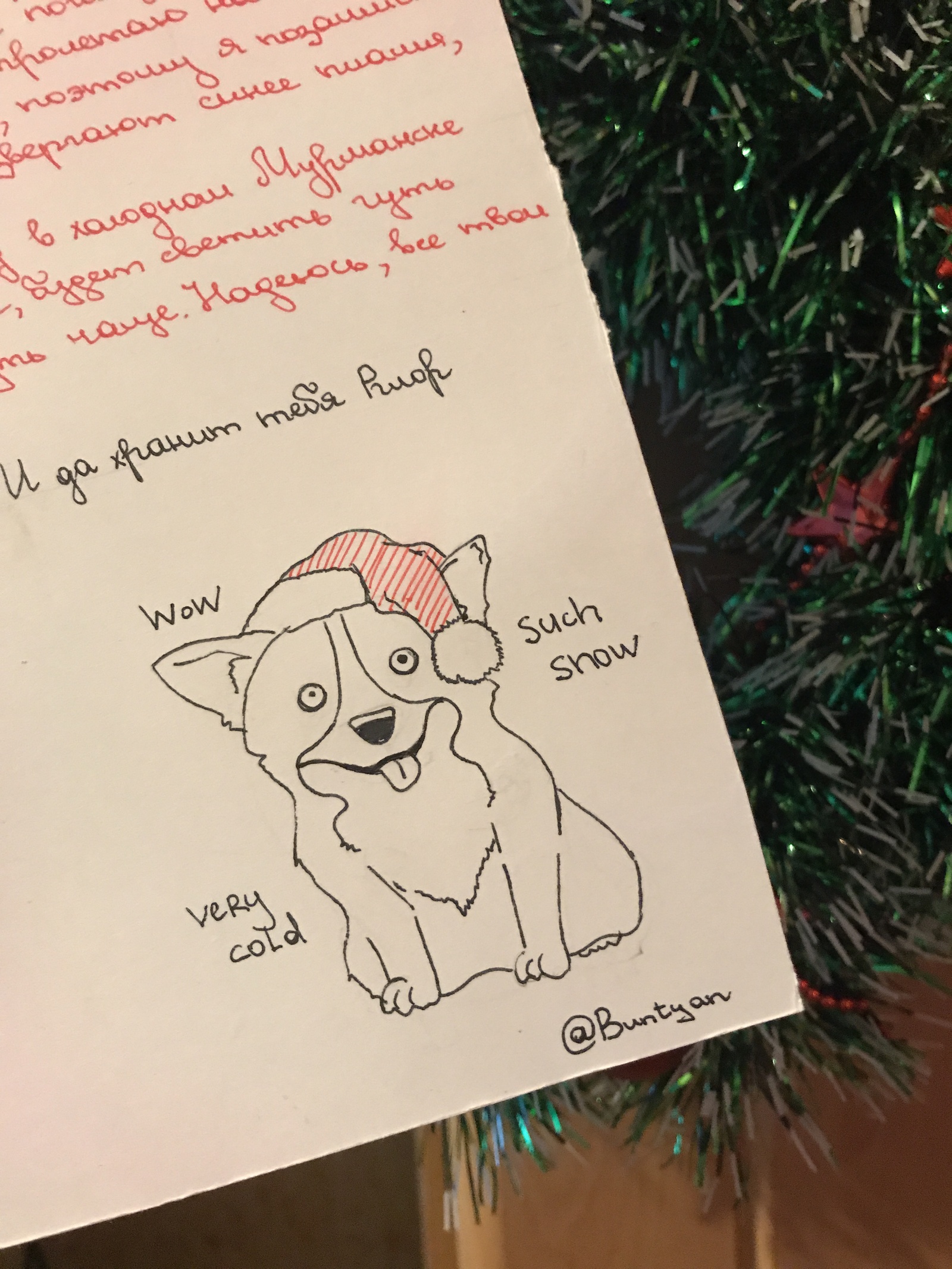 Thanks! - My, Gift exchange, Corgi, Longpost