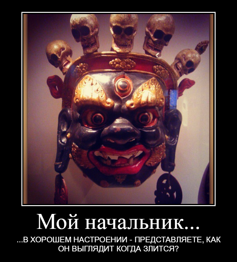 ...as it is))) - My, Boss, Humor, Do not curse the nasyalnik, Bosses