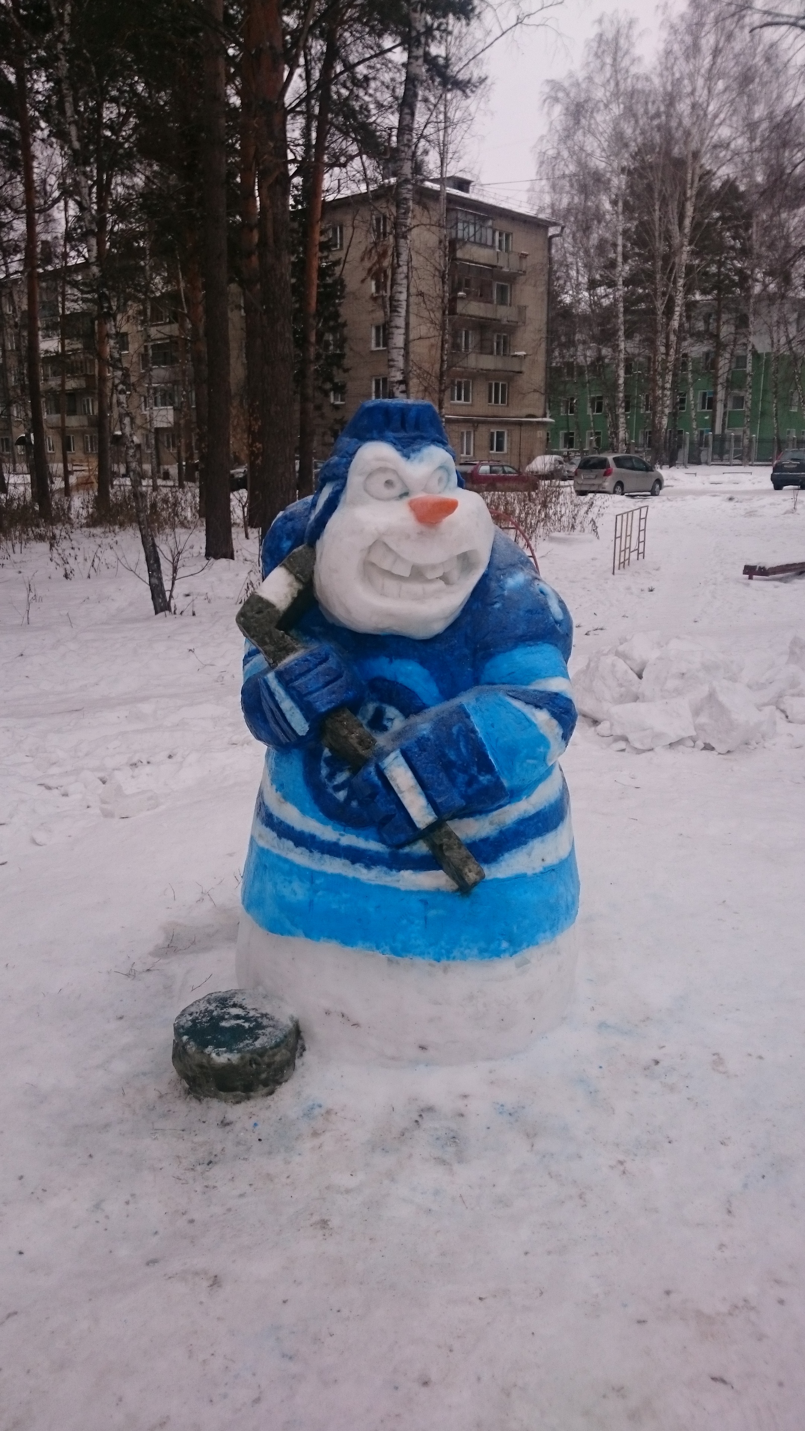 When the head of the house is a fan of the hockey club Siberia - My, HC Sibir, Siberia, snowman, Longpost