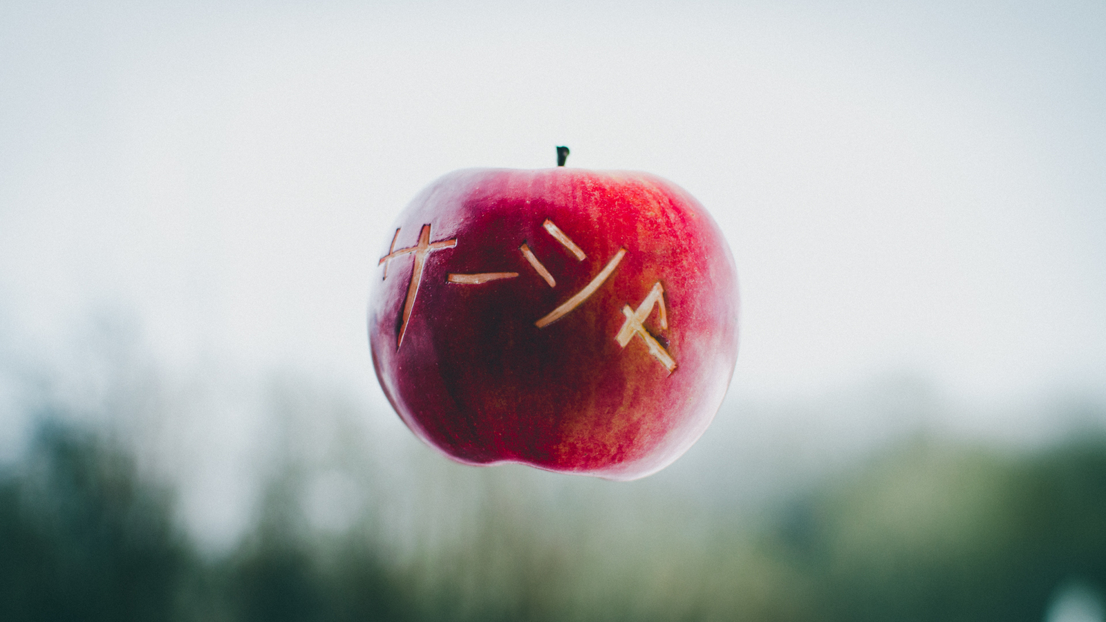 An apple with the name of a loved one - My, The photo, Apples, Levitation, Photographer, Panasonic, , Japan