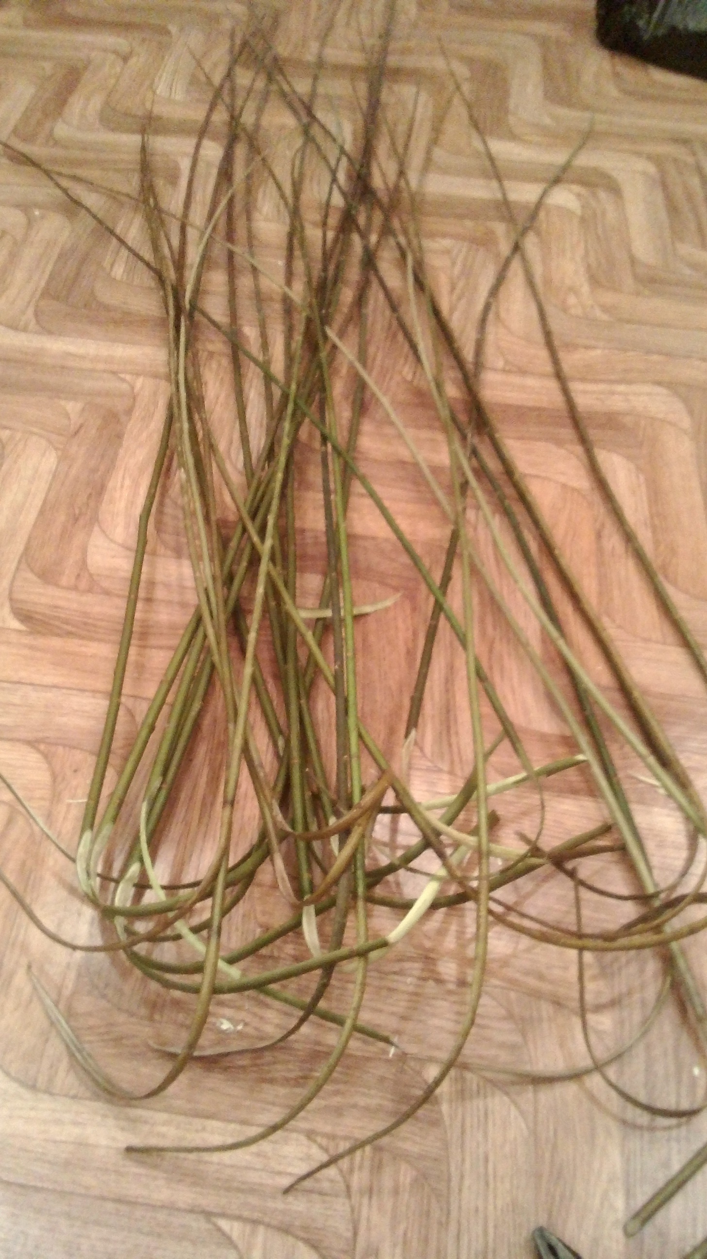 Weave from willow twigs. - My, Weaving, Basket weaving, cat, Basket, Longpost