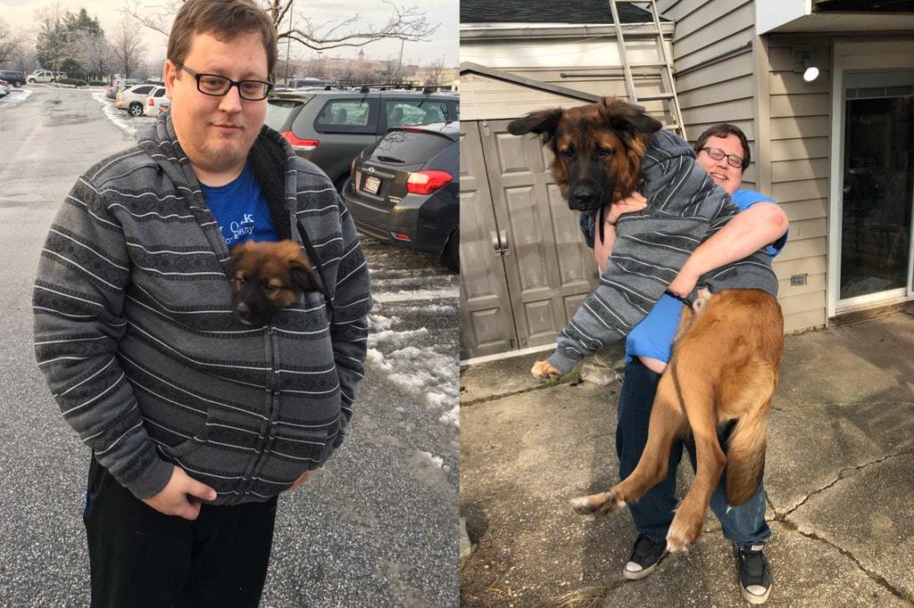 grew a little in a year - Dog, The size, Sweater