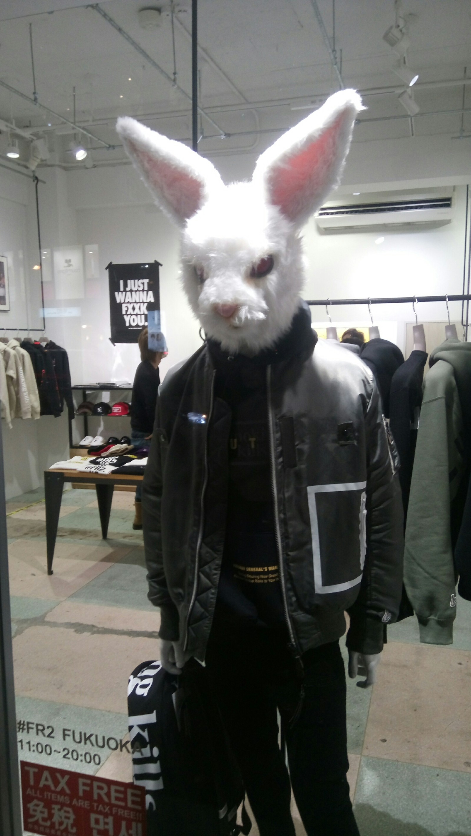 The mistress threw the bunny - My, , Score, Fukuoka, Japan, Hare