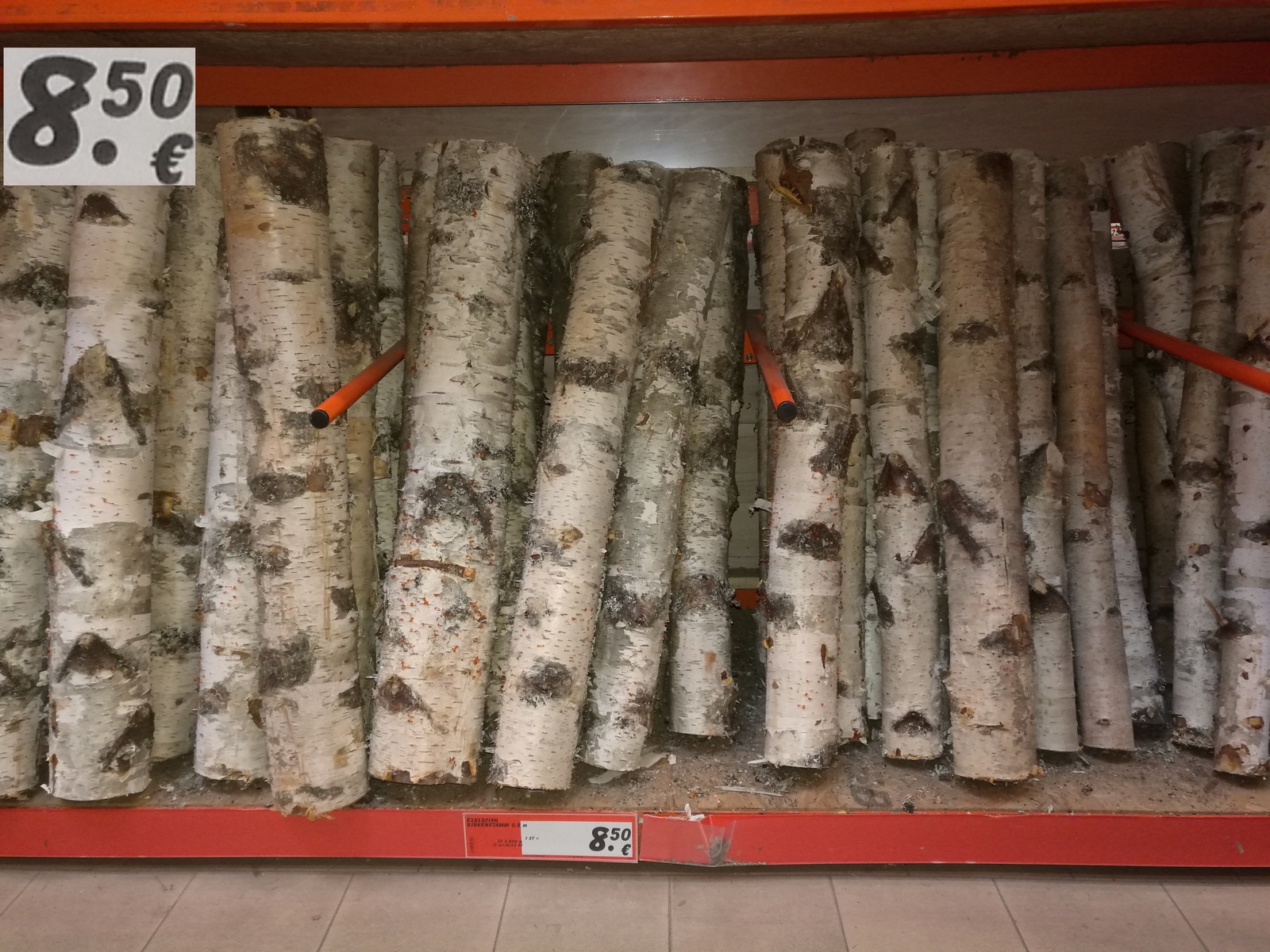 Exclusive birch log, 80 cm. Selling expensive. - Tree, Log, Birch, Germany