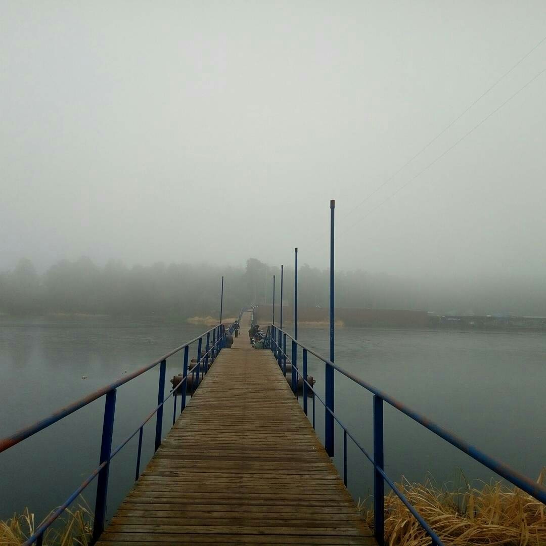 Bridge to the Forbidden Forest - My, Fog, Bridge, The photo