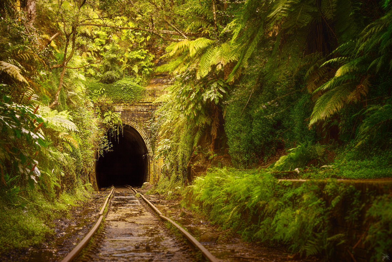 Abandoned railroad. Australia - Road, Plants, The photo