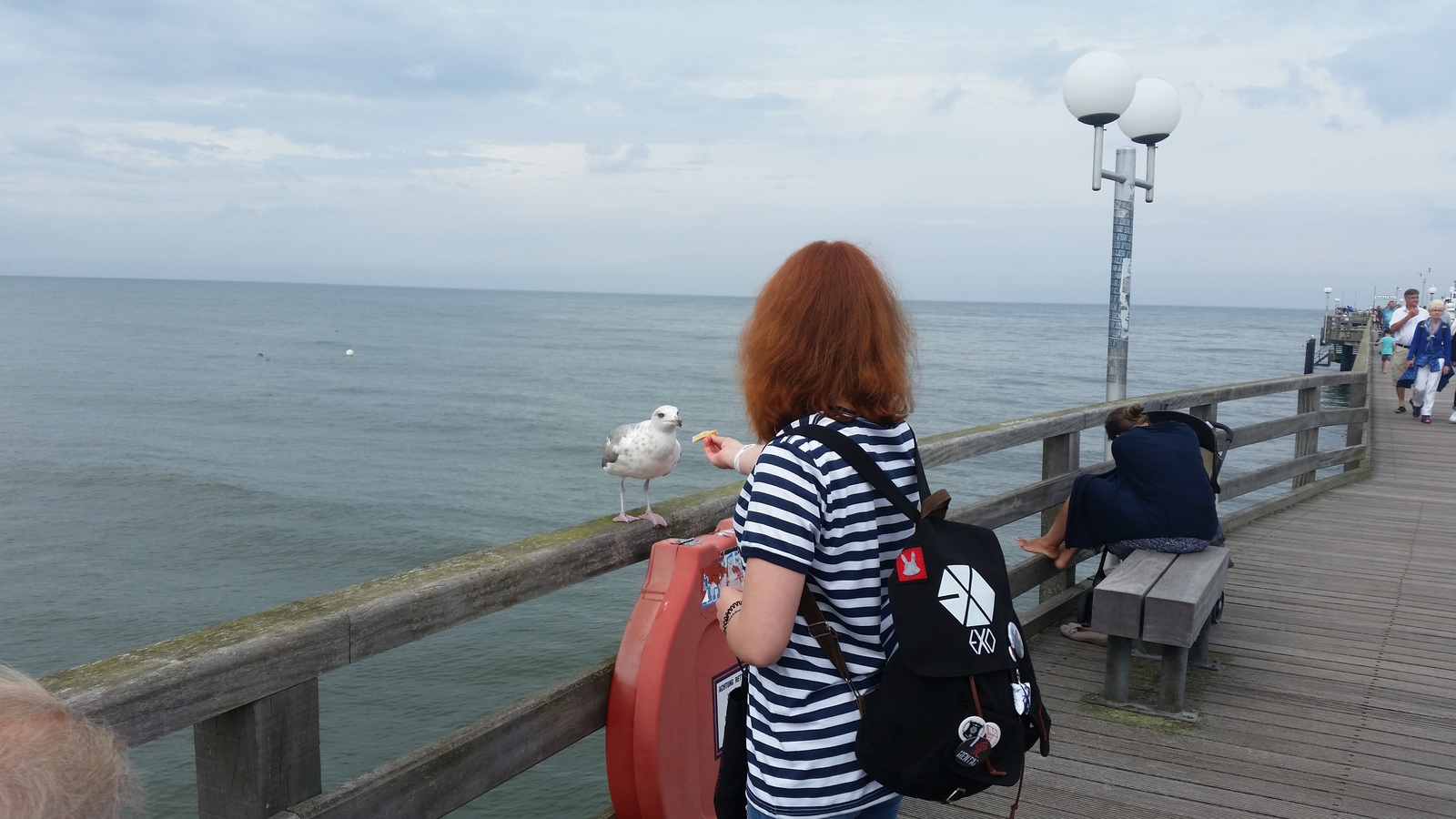 How we saved the seagull's child - My, Seagulls, Birds, Germany, Vacation, Baltika, Chick, Longpost