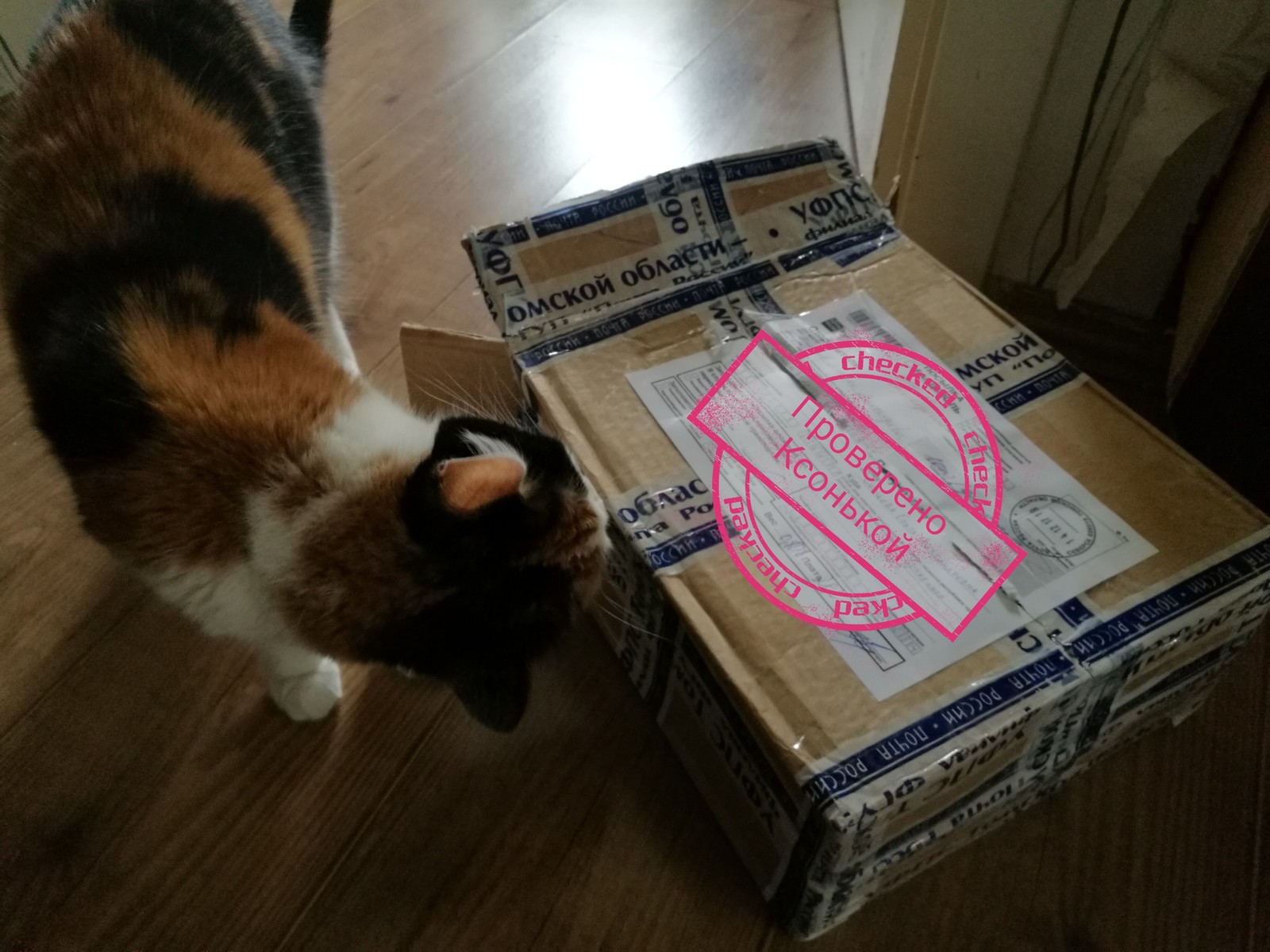 New Year exchange from Seversk to Chelyabinsk or how I almost died of curiosity - My, Gift exchange, New Year, Presents, Seversk, Chelyabinsk, Thank you, Longpost