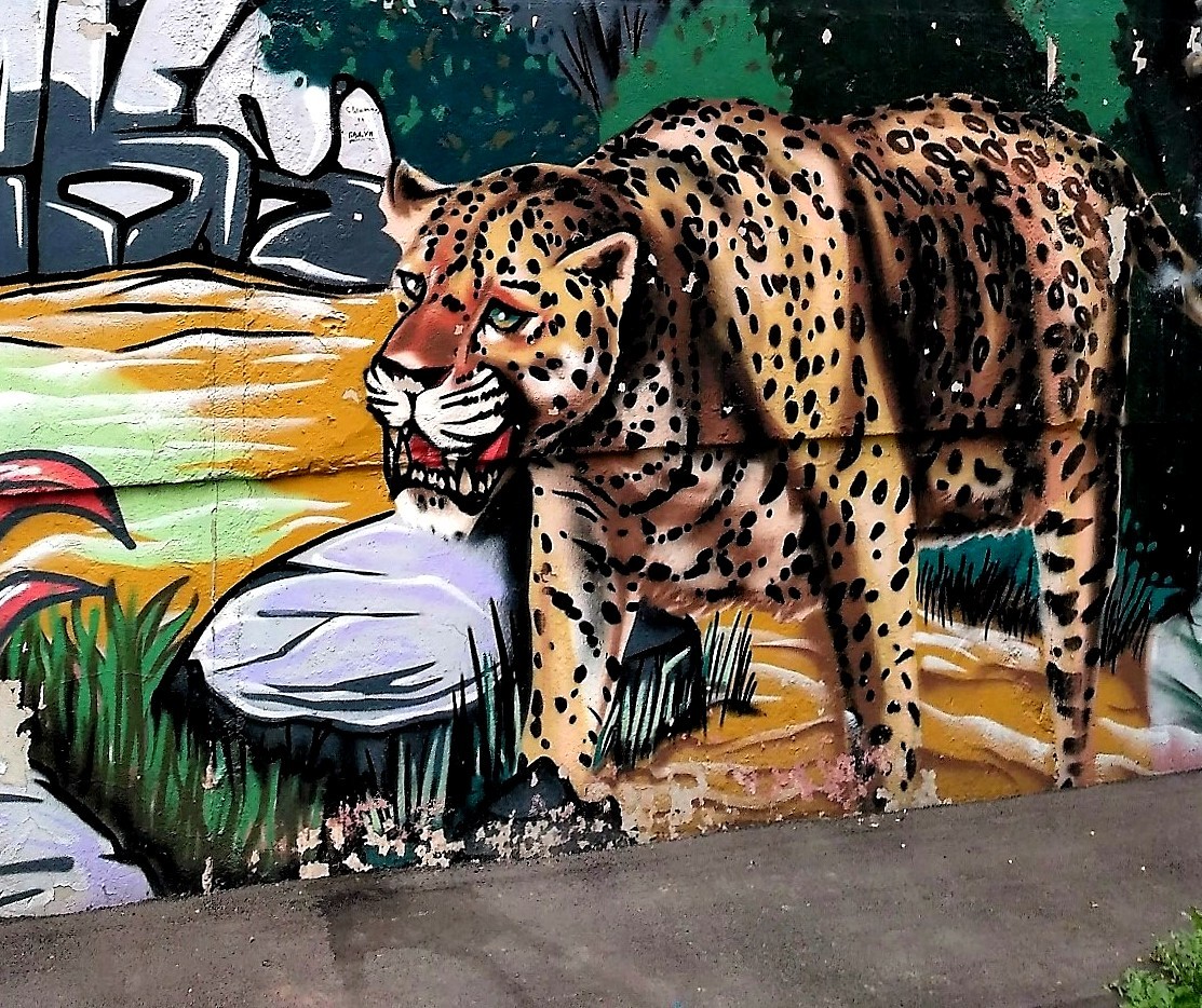 Graffiti (as well as street art) should decorate the walls, not disfigure them. - My, Street painting, Graffiti, Street art, Mink, Puma, Leopard, The photo, Longpost