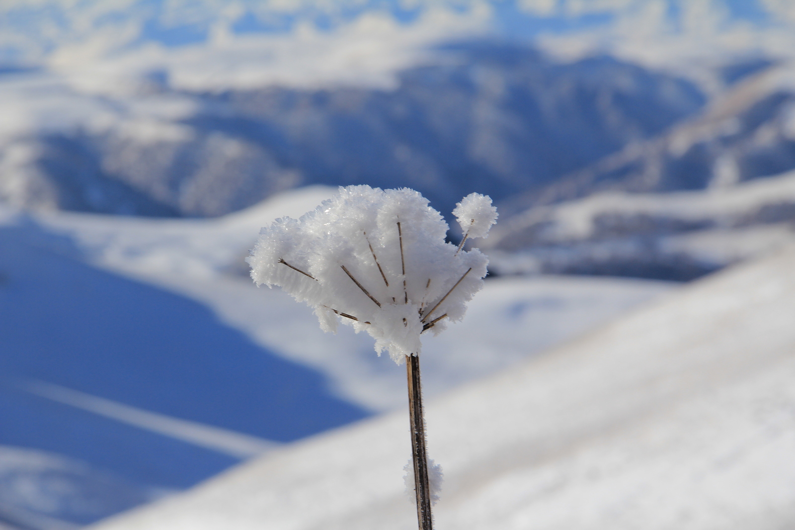 Зарисовки с работы. Продолжение... - Моё, Длиннопост, Хочу критики, Canon 60d